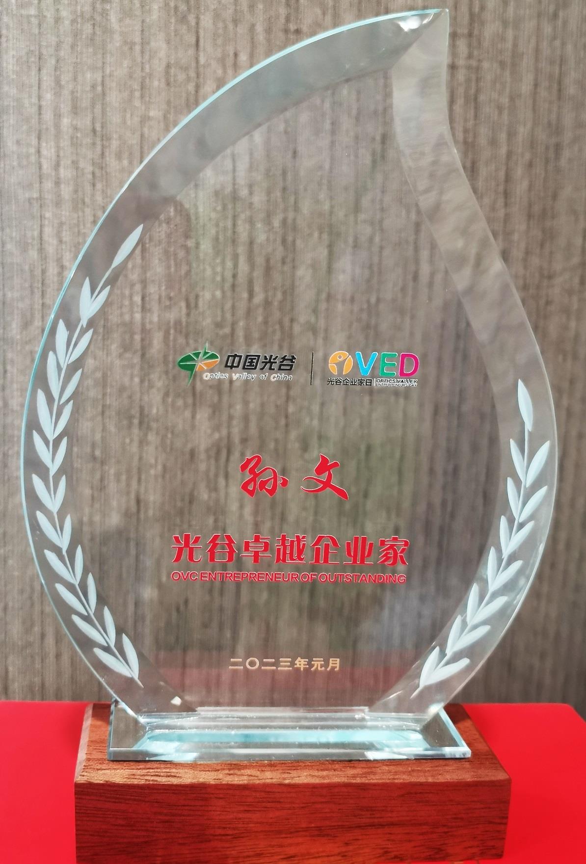 光谷卓越企業(yè)家獎杯.jpg